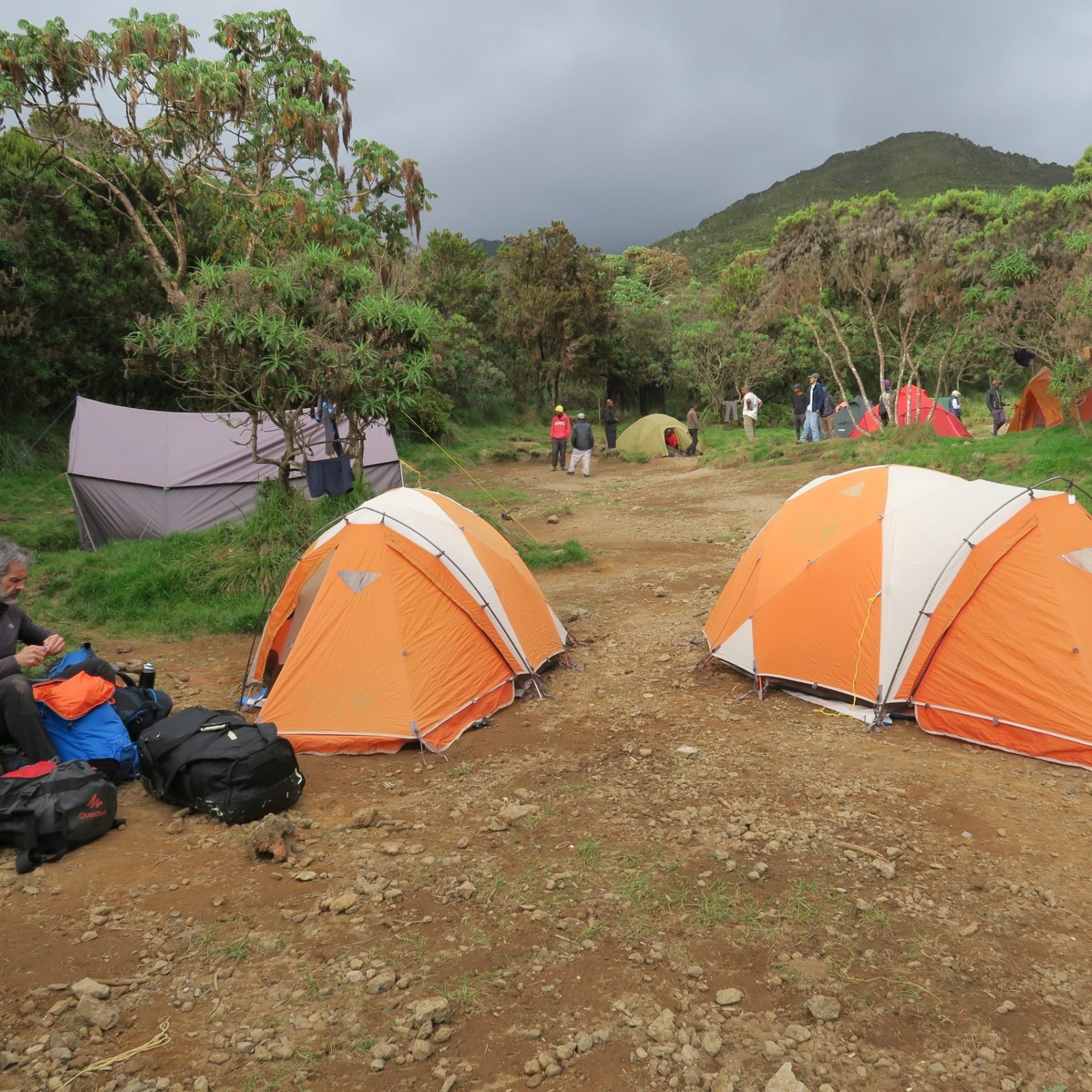 Array
(
    [id] => 102
    [id_producto] => 11
    [imagen] => 11-102-comprarexpediciones-de-montanaexpedicion-al-kilimanjaro-5-895m.jpg
    [orden] => 0
)
