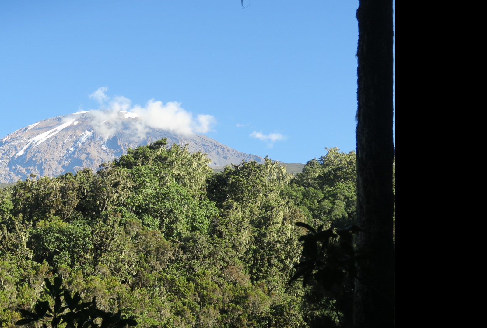 Array
(
    [id] => 106
    [id_producto] => 11
    [imagen] => 11-106-comprarexpediciones-de-montanaexpedicion-al-kilimanjaro-5-895m.jpg
    [orden] => 0
)
