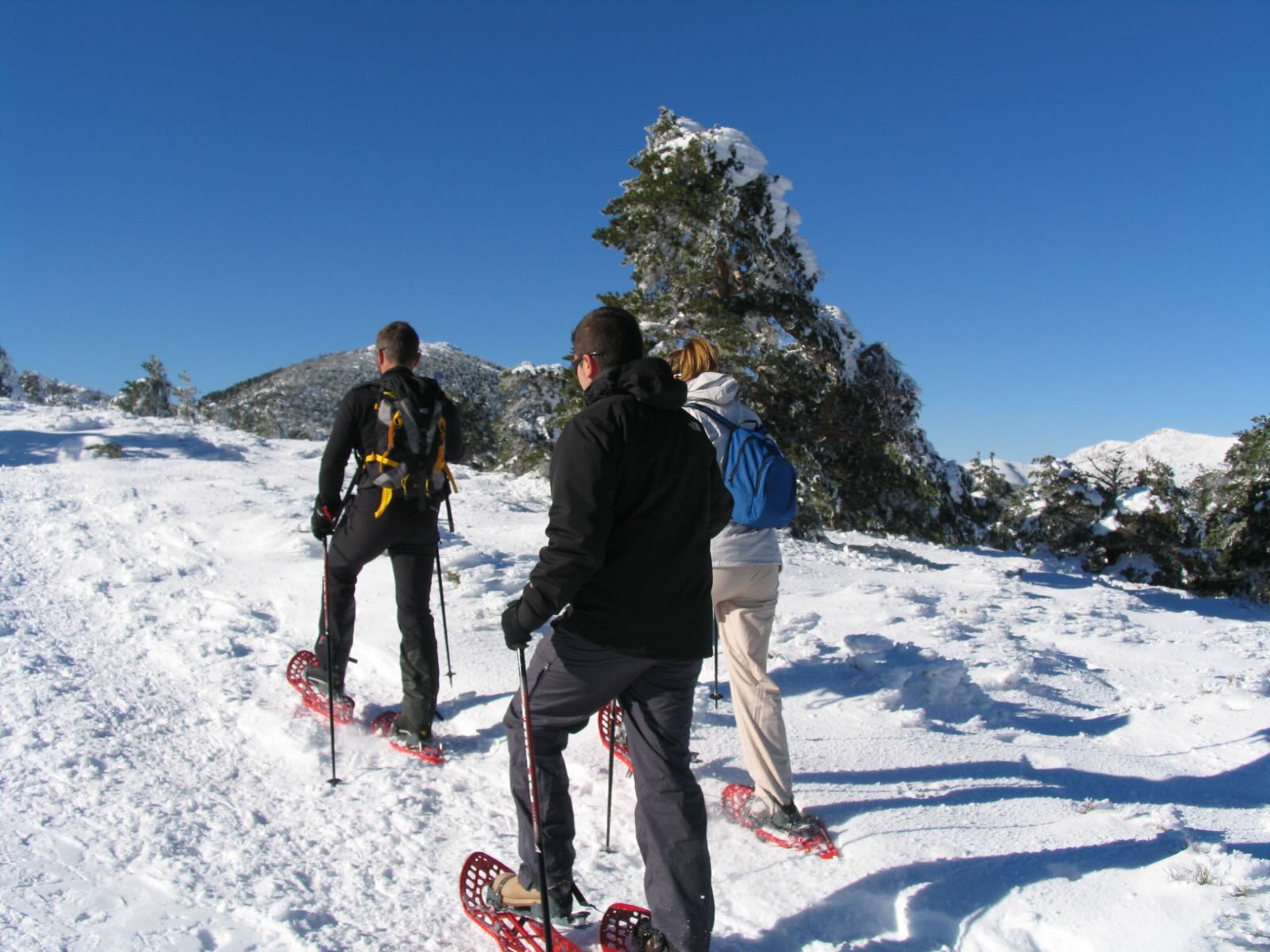 Array
(
    [id] => 287
    [id_producto] => 33
    [imagen] => 33-287-compraractividades-guiadasraquetas-de-nieve-en-sierra-nevada.jpeg
    [orden] => 0
)
