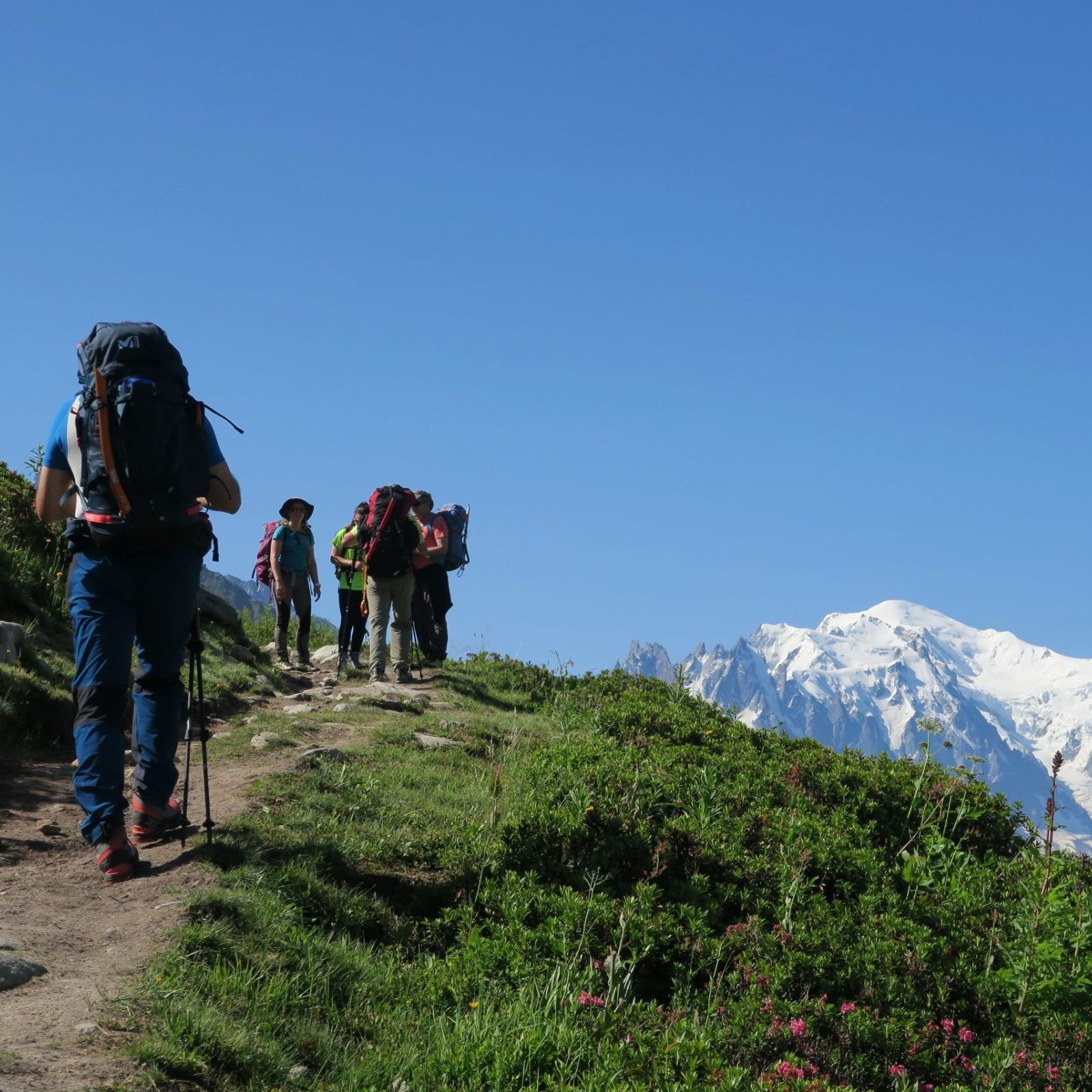 Array
(
    [id] => 38
    [id_producto] => 4
    [imagen] => 4-38-compraralpesalta-ruta-chamonix-zermatt-breithorn-4-164m.jpeg
    [orden] => 0
)
