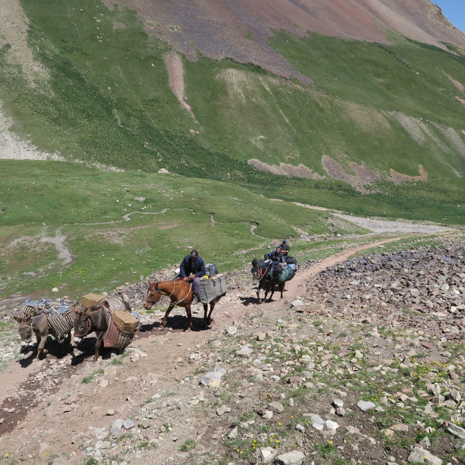 Array
(
    [id] => 69
    [id_producto] => 8
    [imagen] => 8-69-comprarexpediciones-de-montanaexpedicion-al-pico-lenin-7-134m.jpeg
    [orden] => 0
)
